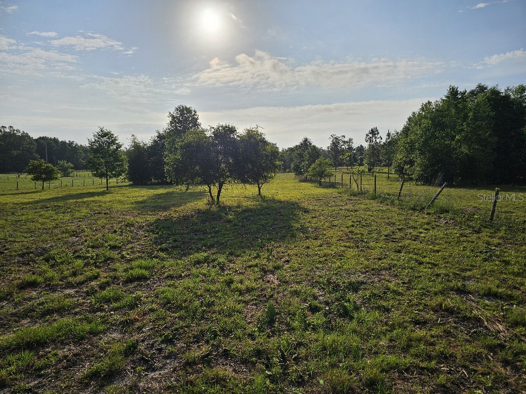 0 SW Spirit Ave Avenue Fort White FL 32038 TB8513104 image40