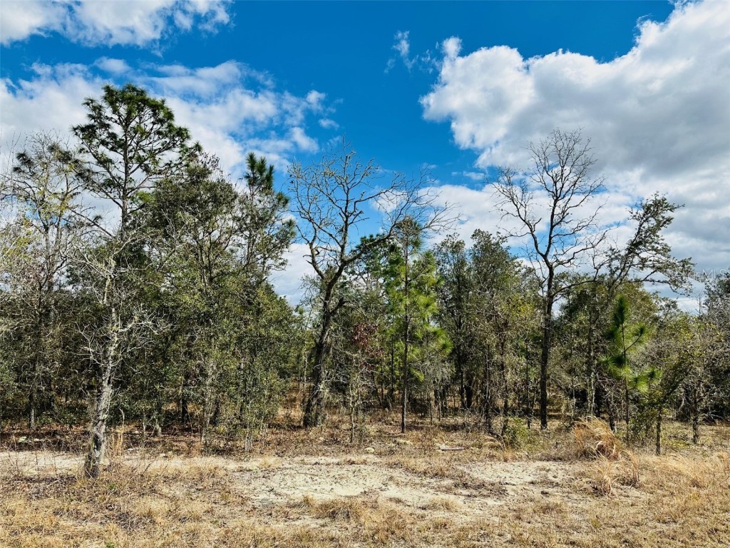 0 SW Winding Hills Road Dunnellon FL 34431 GC526849 image1