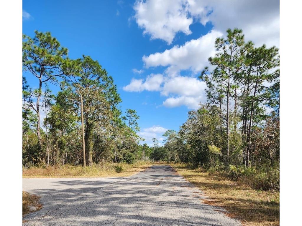0 SW Woodland Dunnellon FL 34433 O6340276 image1