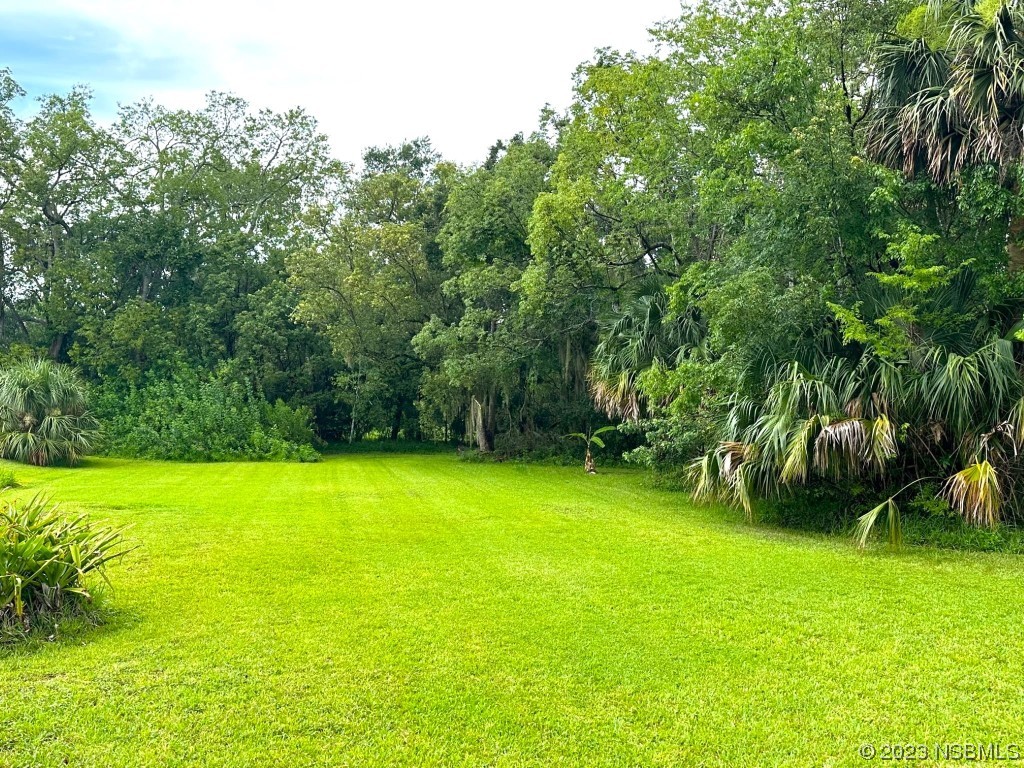 0 Spruce Street New Smyrna Beach FL 32168 NS1075368 image1