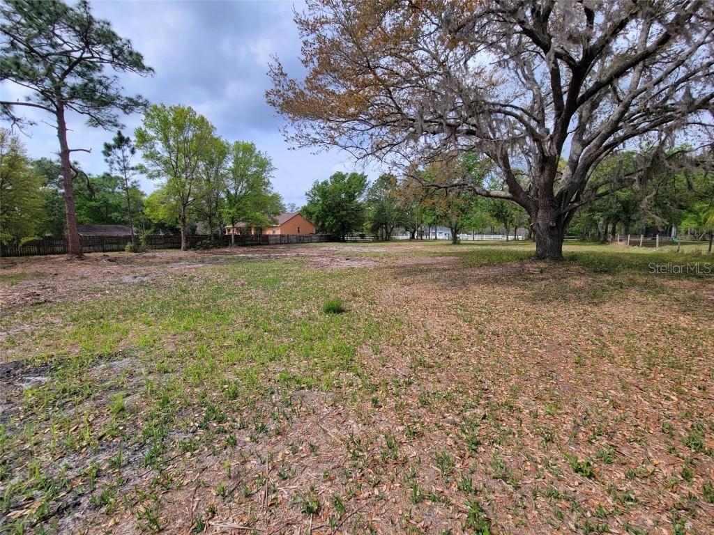 0 Tallowtree Drive Wesley Chapel FL 33544 TB8363189 image1