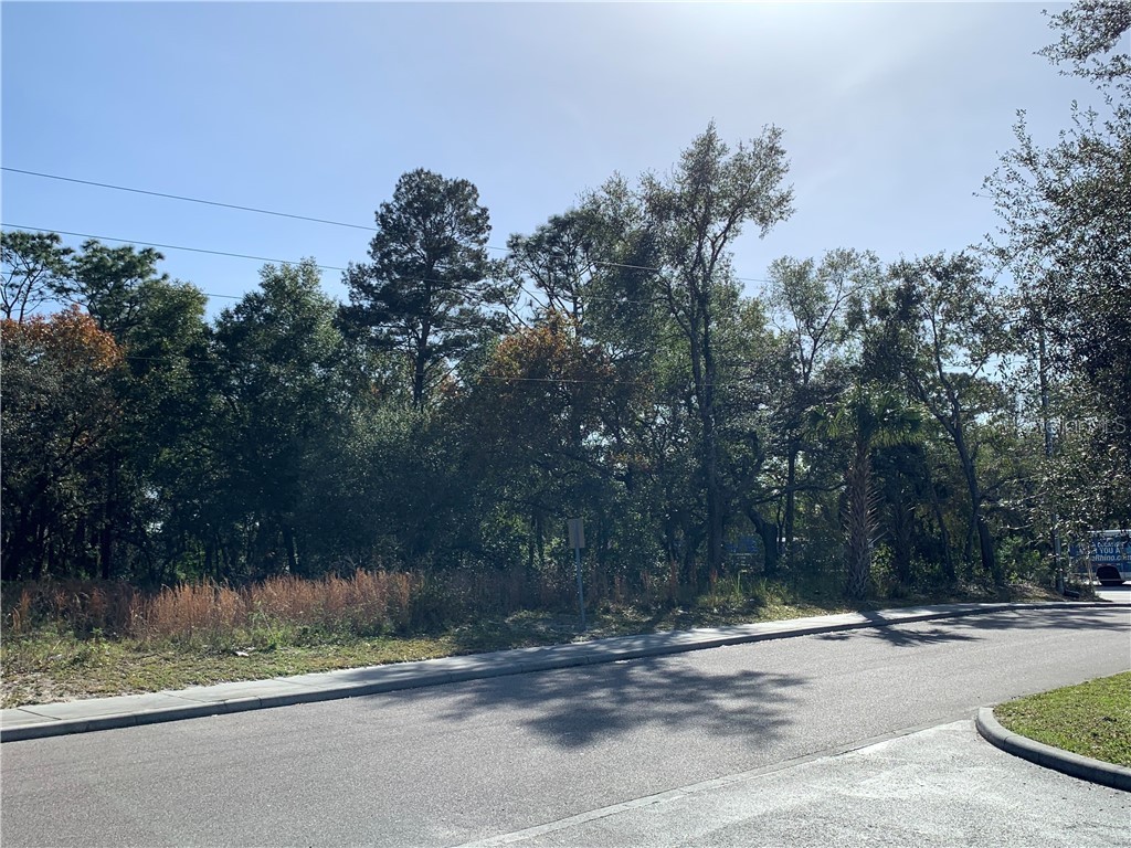 0 Talmo Street Winter Springs FL 32708 O5835470 image1