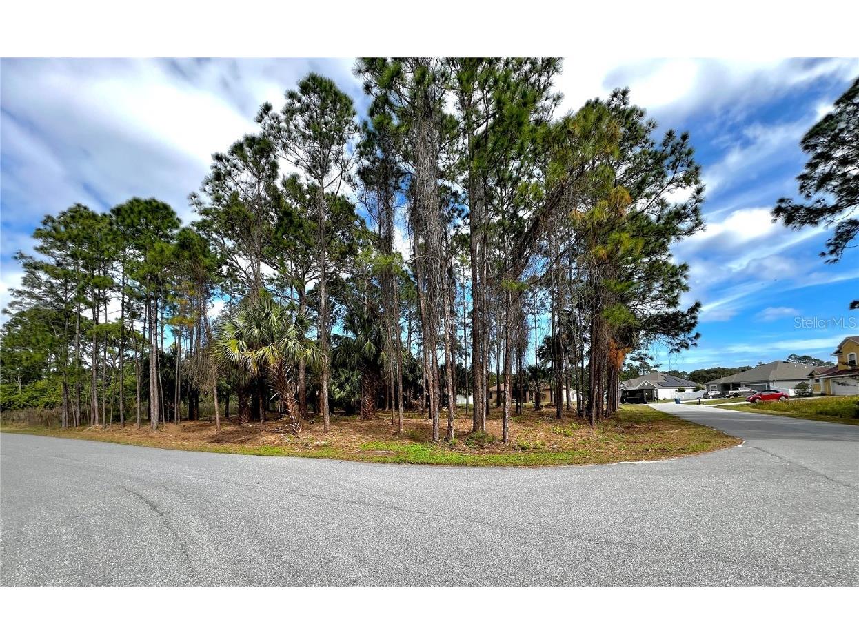 0 Tamarind Circle NW Palm Bay FL 32907 O6236313 image1