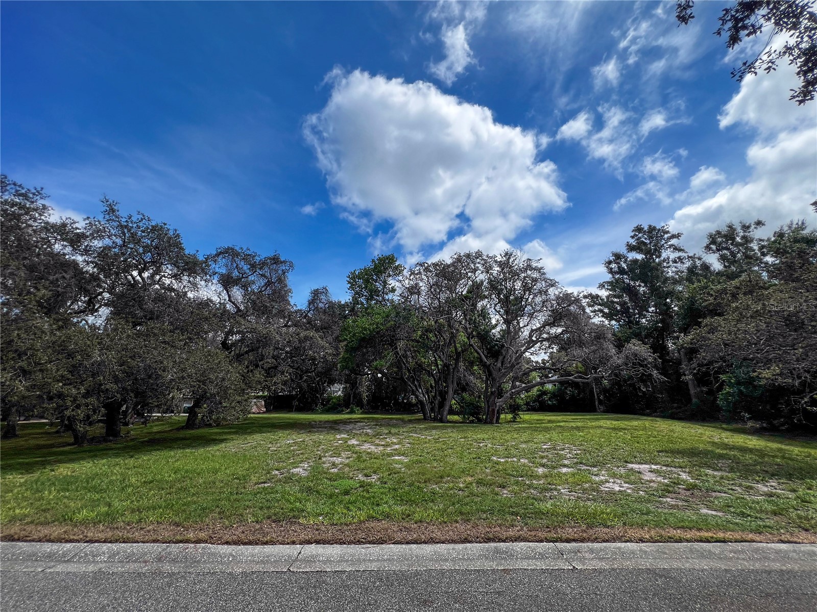 0 Tampa Road Palm Harbor FL 34684 TB8500672 image1