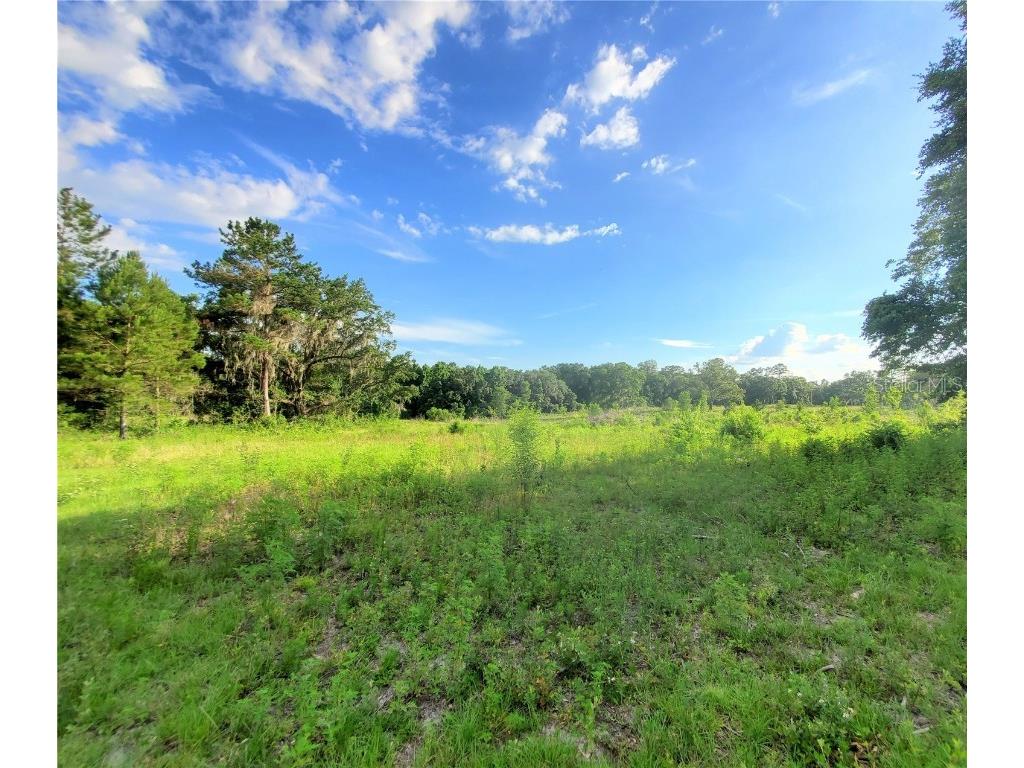 0 TBD NW 115th Avenue Reddick FL 32686 OM659623 image10