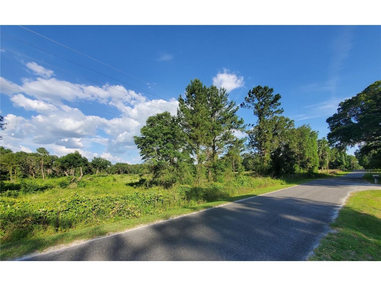 0 TBD NW 115th Avenue Reddick FL 32686 OM659623 image3