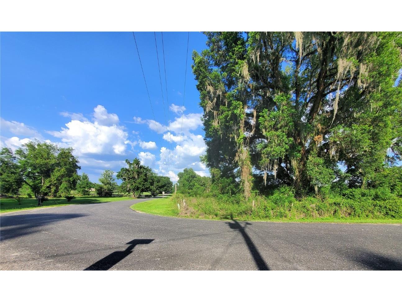 0 TBD NW 115th Avenue Reddick FL 32686 OM659623 image4