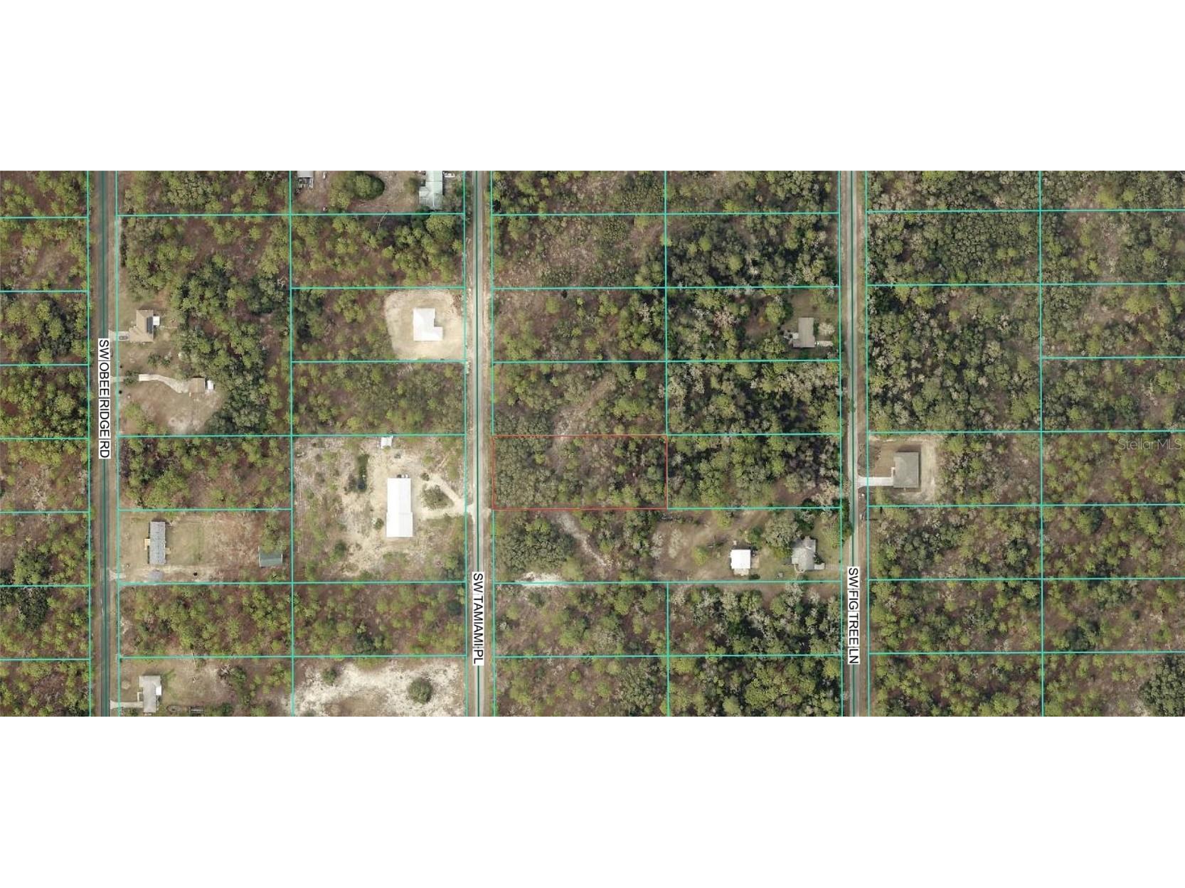 0 TBD SW Tamiami Place Dunnellon FL 34431 OM714644 image2