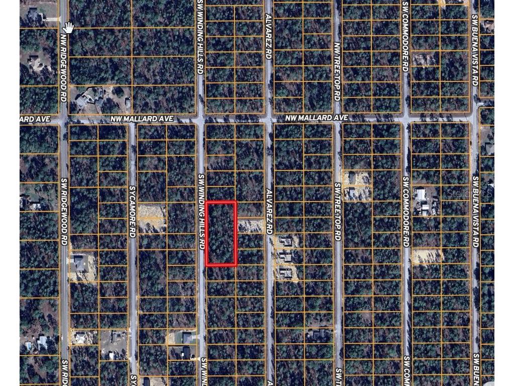 0 TBD SW Winding Hills Road Dunnellon FL 34431 A4663082 image1