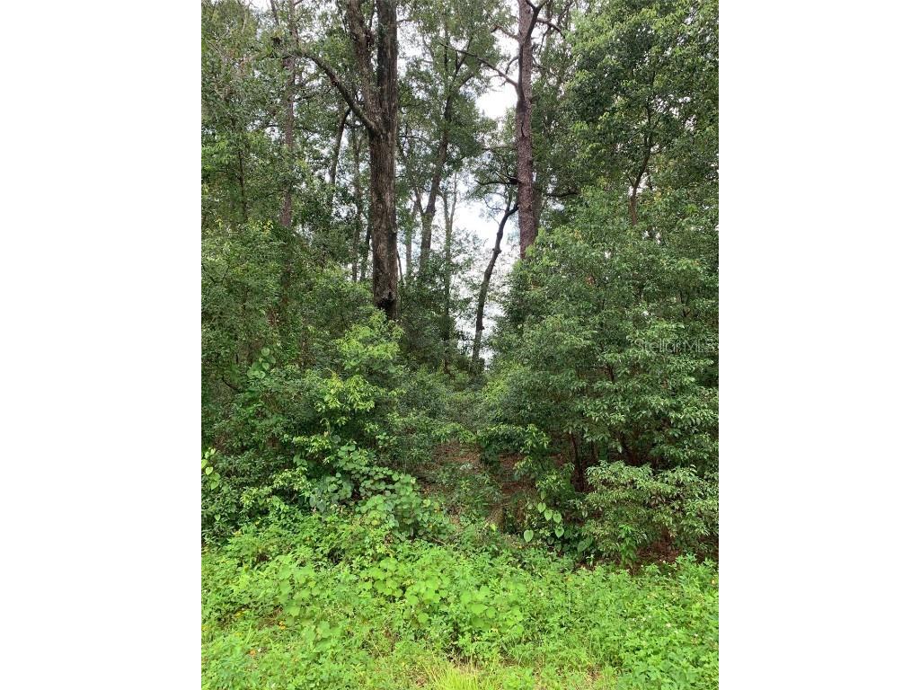 0 Thornhill Drive Sorrento FL 32776 B4901991 image1