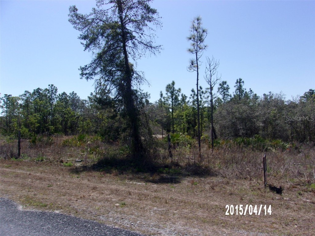 0 Thrasher Avenue Weeki Wachee FL 34614 W7853709 image1
