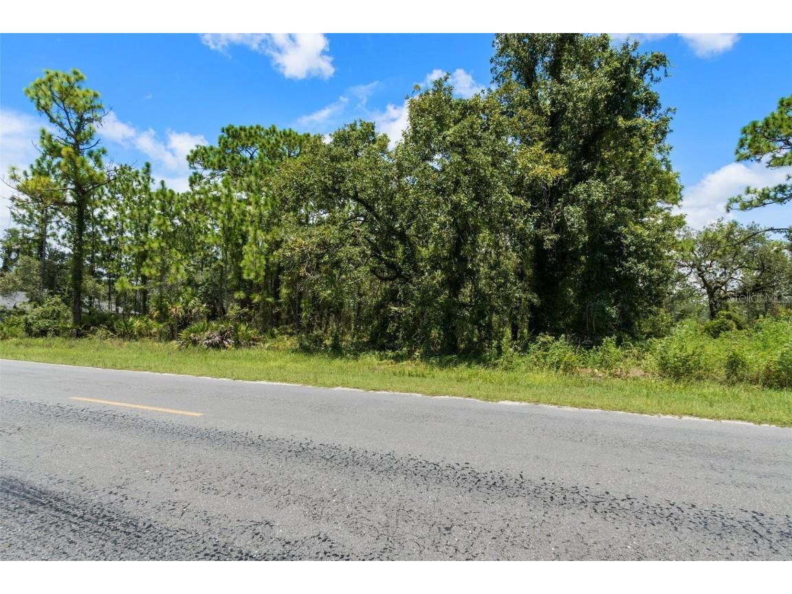 0 Thrasher Avenue Weeki Wachee FL 34614 W7857099 image1