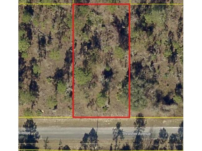 0 Thrasher Avenue Weeki Wachee FL 34614 W7883768 image1