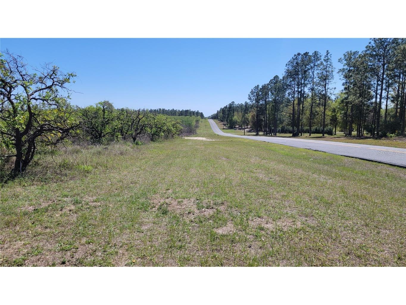 0 Thrill Hill Road Eustis FL 32736 G5094306 image2