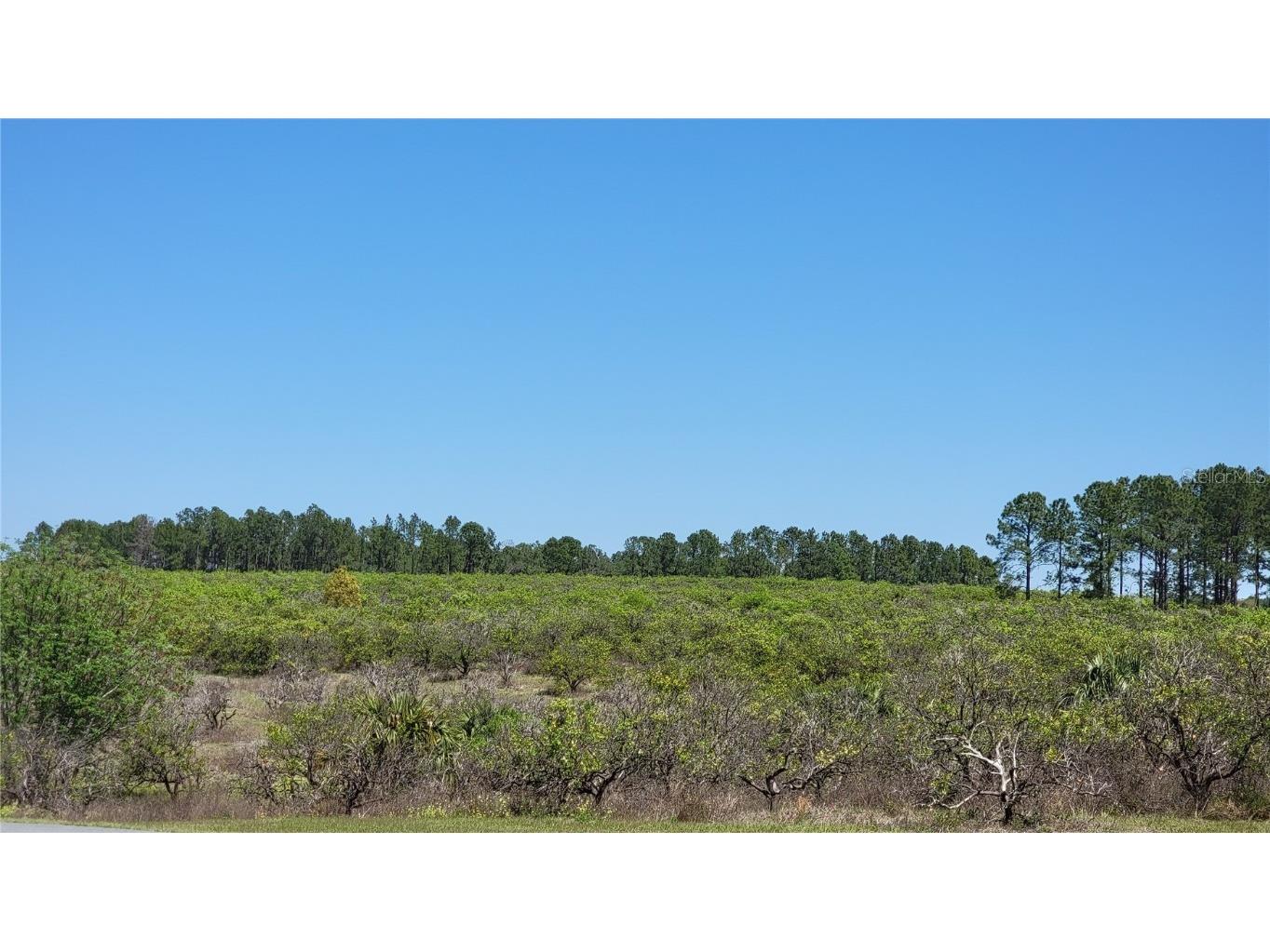 0 Thrill Hill Road Eustis FL 32736 G5094306 image3