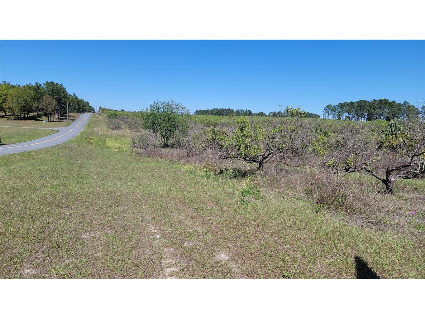 0 Thrill Hill Road Eustis FL 32736 G5094306 image5