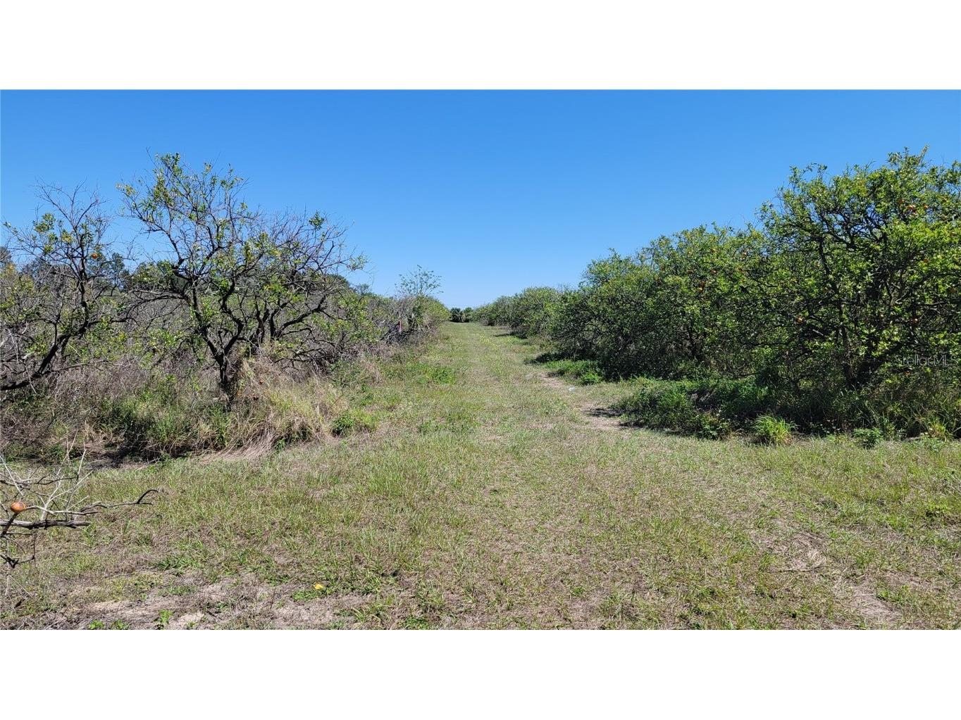 0 Thrill Hill Road Eustis FL 32736 G5094306 image6