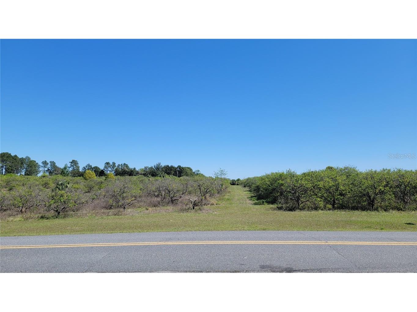 0 Thrill Hill Road Eustis FL 32736 G5094306 image7