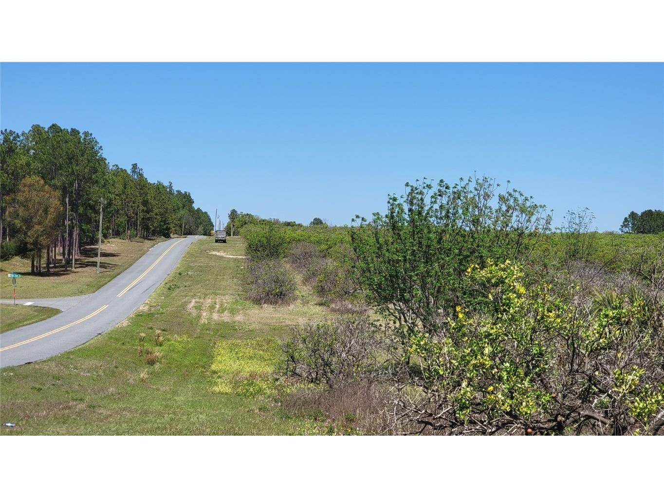 0 Thrill Hill Road Eustis FL 32736 G5094306 image8