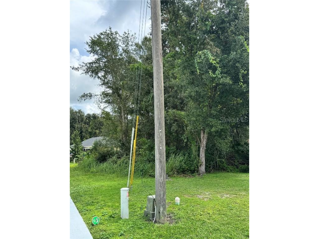 0 Tiffany Court Kissimmee FL 34758 S5138780 image3