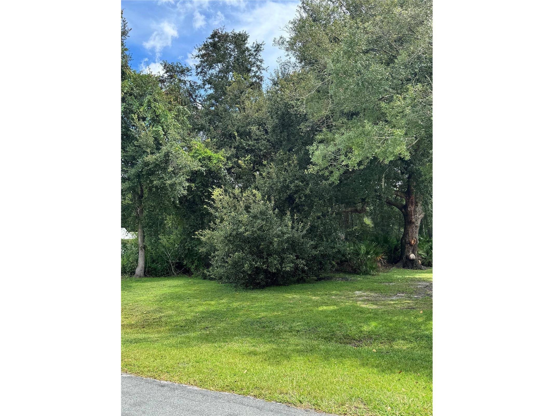 0 Tiffany Court Kissimmee FL 34758 S5147381 image5
