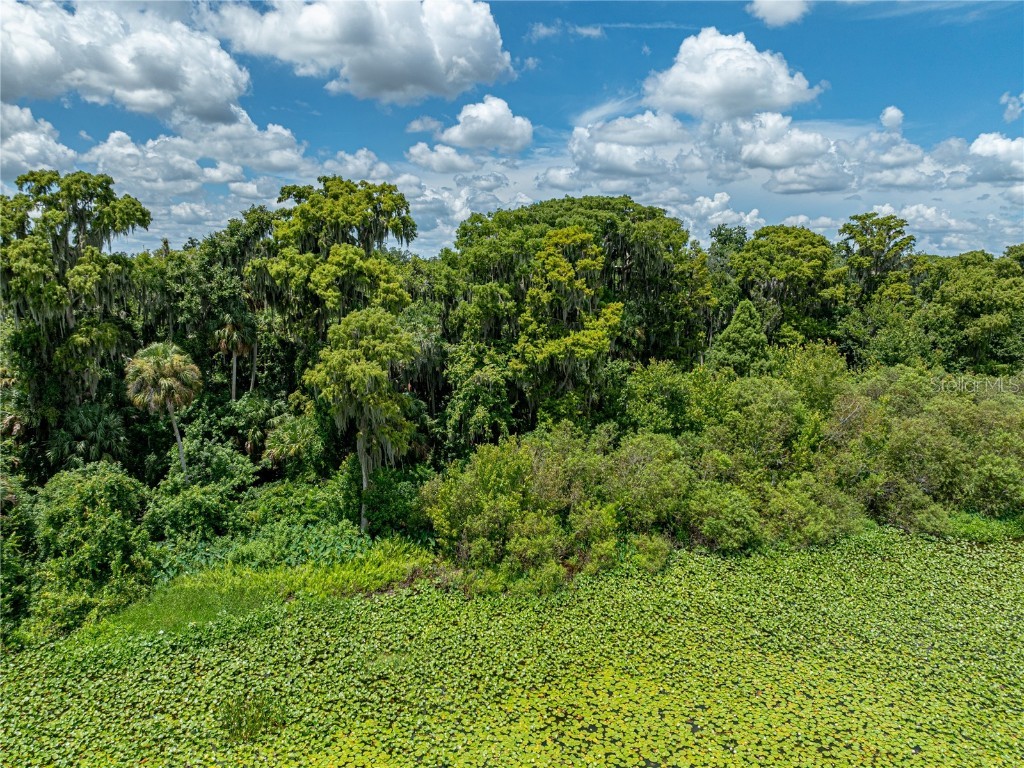 0 Timberlane Road Lake Wales FL 33898 - LAKE PIERCE P4931462 image18