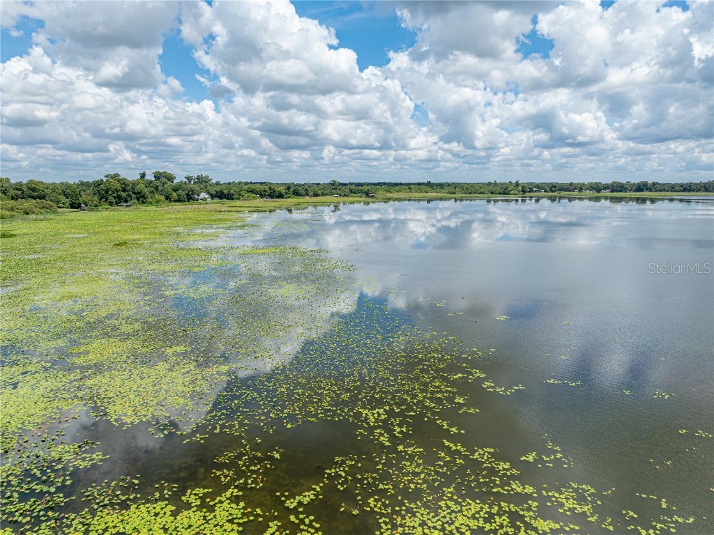 0 Timberlane Road Lake Wales FL 33898 - LAKE PIERCE P4931462 image19