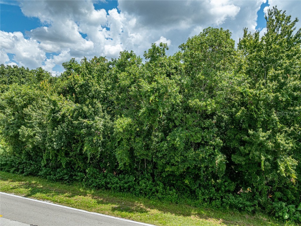 0 Timberlane Road Lake Wales FL 33898 - LAKE PIERCE P4931462 image22