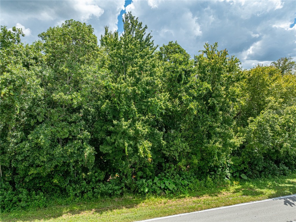 0 Timberlane Road Lake Wales FL 33898 - LAKE PIERCE P4931462 image23