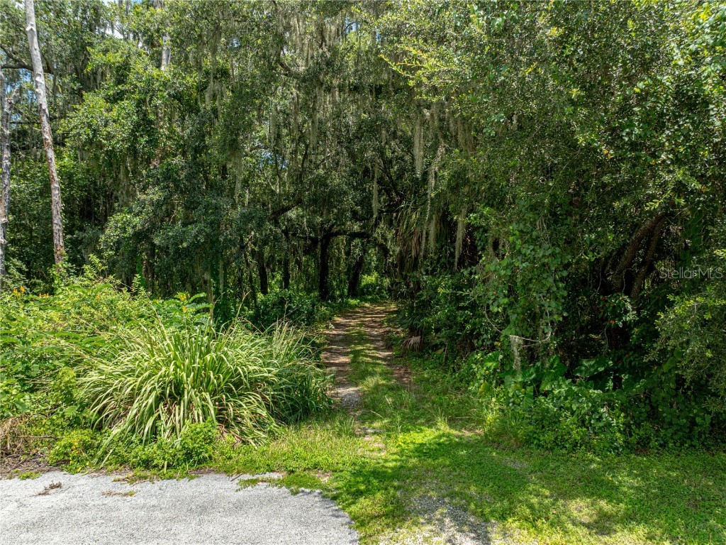 0 Timberlane Road Lake Wales FL 33898 - LAKE PIERCE P4931462 image25