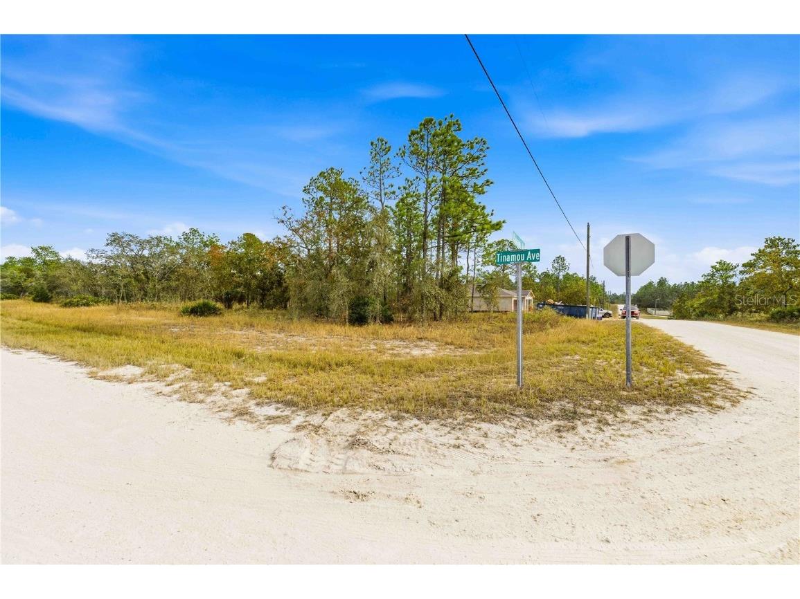 0 Tinamou Avenue Weeki Wachee FL 34614 TB8446826 image1