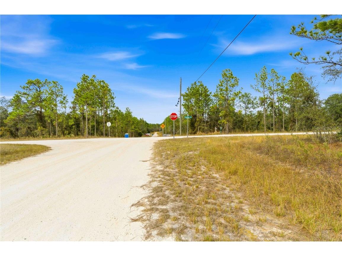 0 Tinamou Avenue Weeki Wachee FL 34614 TB8446826 image2