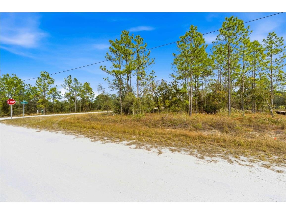 0 Tinamou Avenue Weeki Wachee FL 34614 TB8446826 image3