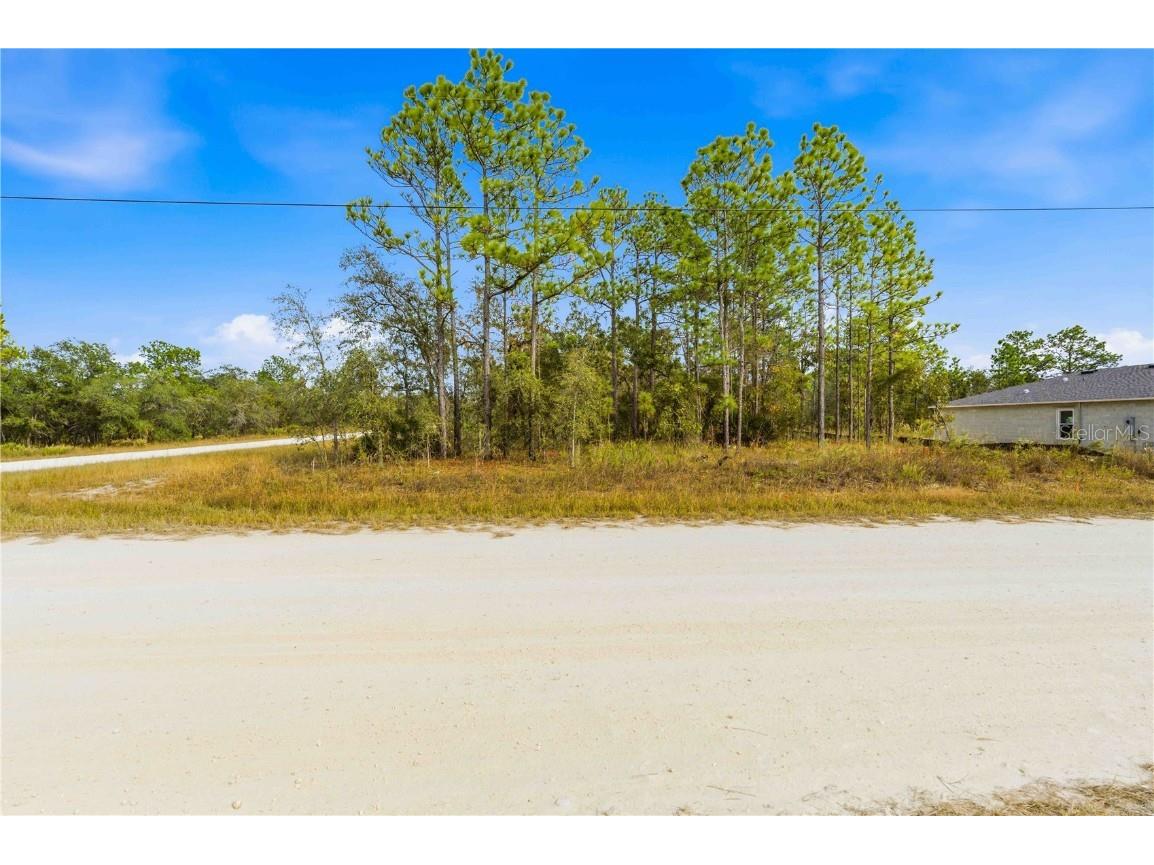 0 Tinamou Avenue Weeki Wachee FL 34614 TB8446826 image4