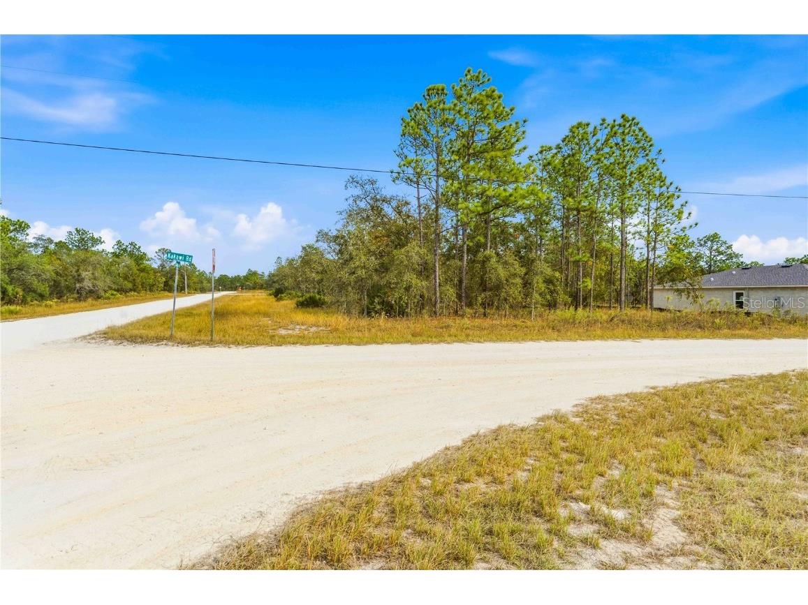 0 Tinamou Avenue Weeki Wachee FL 34614 TB8446826 image5