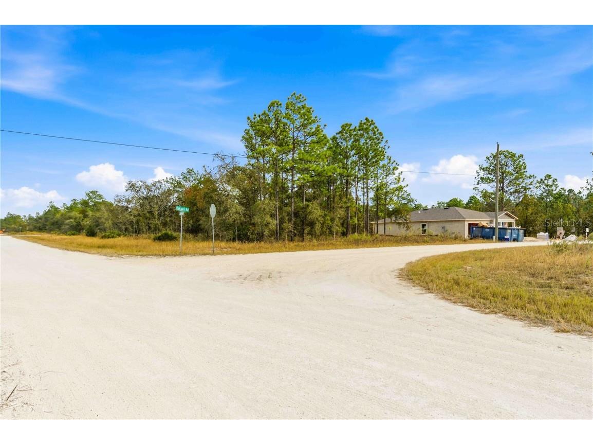 0 Tinamou Avenue Weeki Wachee FL 34614 TB8446826 image6