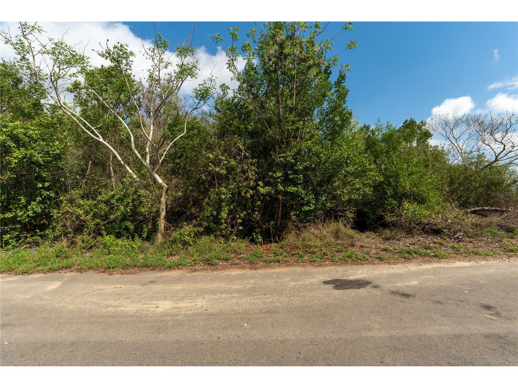 0 Tom Sheffield Road Frostproof FL 33843 A4684884 image16