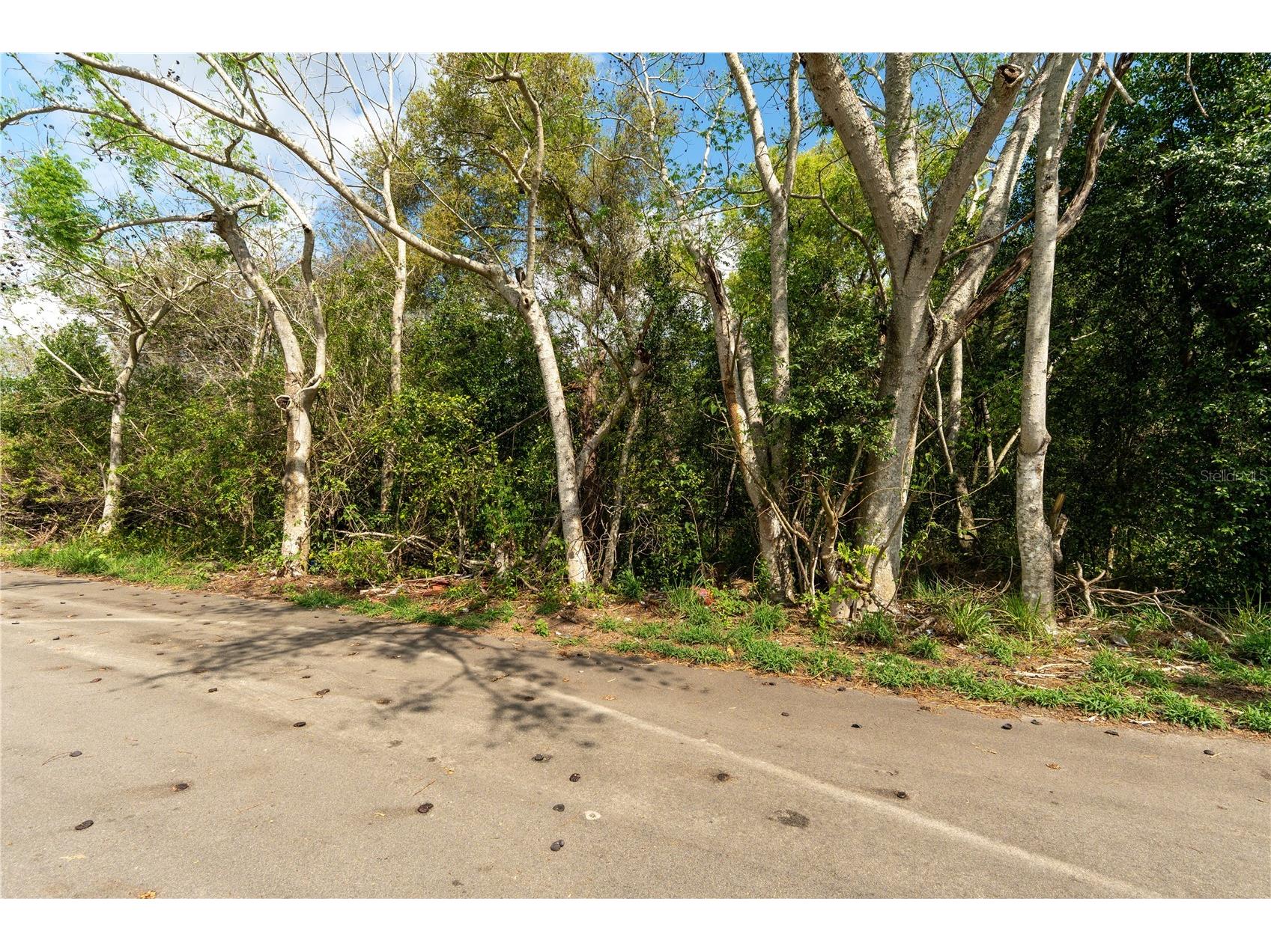 0 Tom Sheffield Road Frostproof FL 33843 A4684884 image18