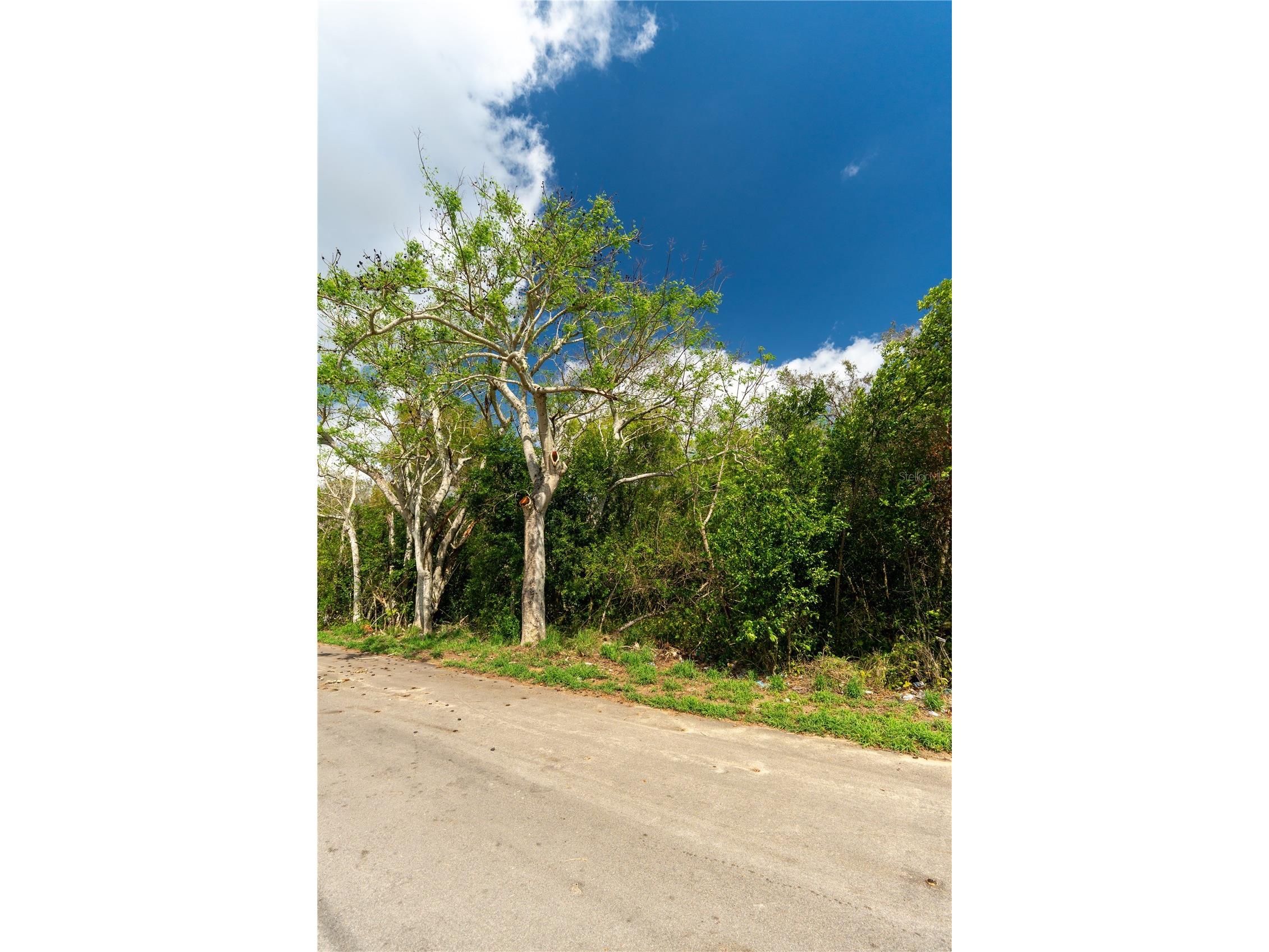 0 Tom Sheffield Road Frostproof FL 33843 A4684884 image19