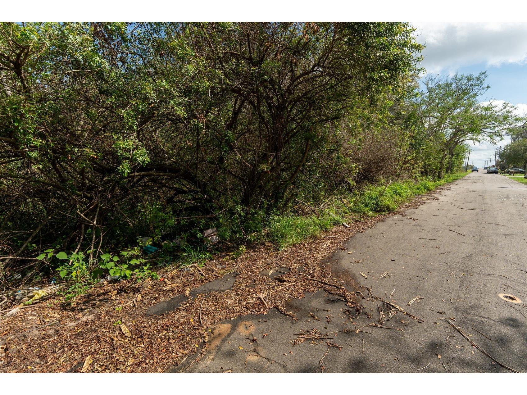 0 Tom Sheffield Road Frostproof FL 33843 A4684884 image22