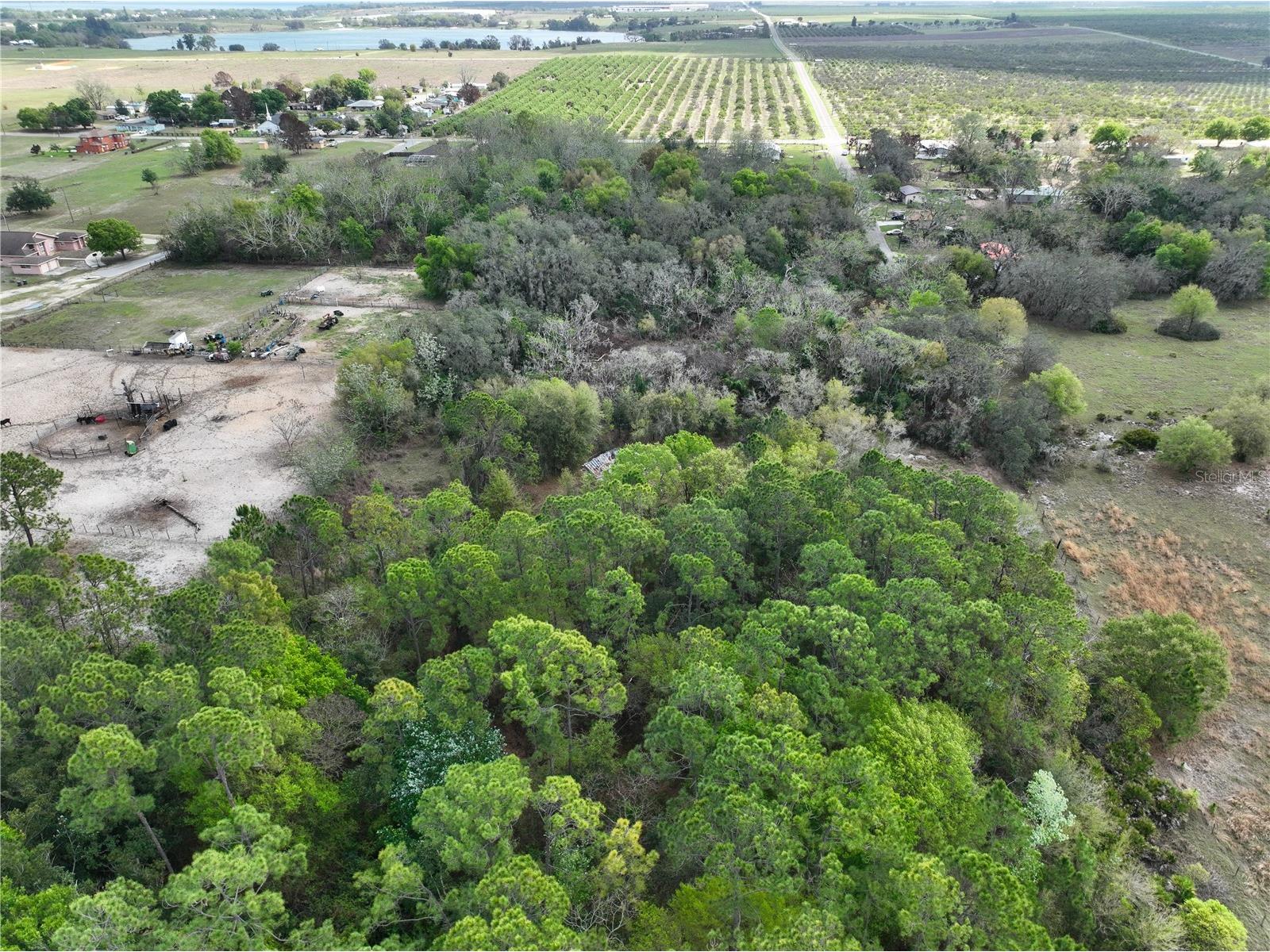 0 Tom Sheffield Road Frostproof FL 33843 A4684884 image4