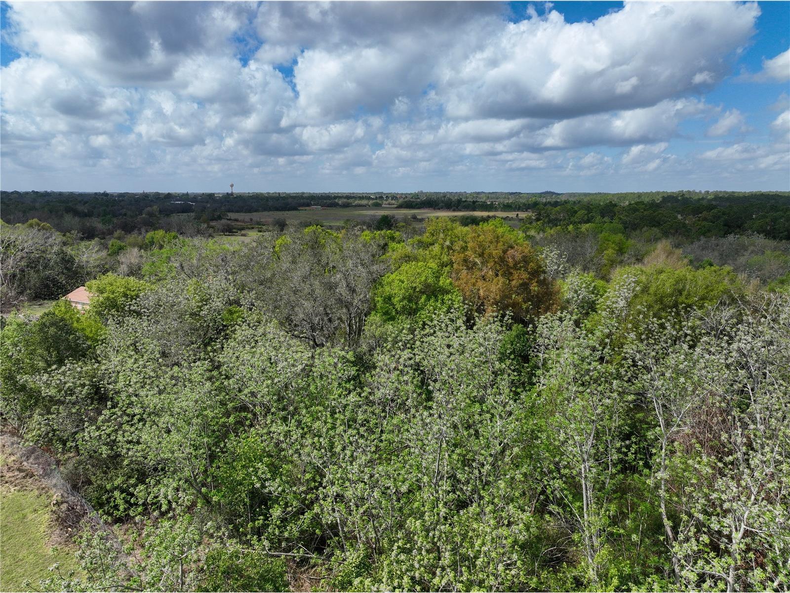 0 Tom Sheffield Road Frostproof FL 33843 A4684884 image5