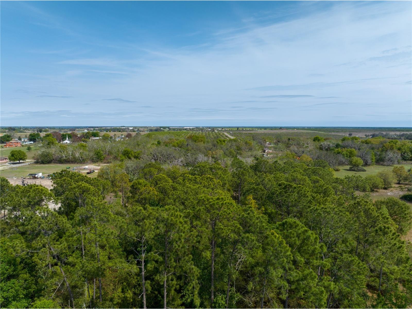 0 Tom Sheffield Road Frostproof FL 33843 A4684884 image7