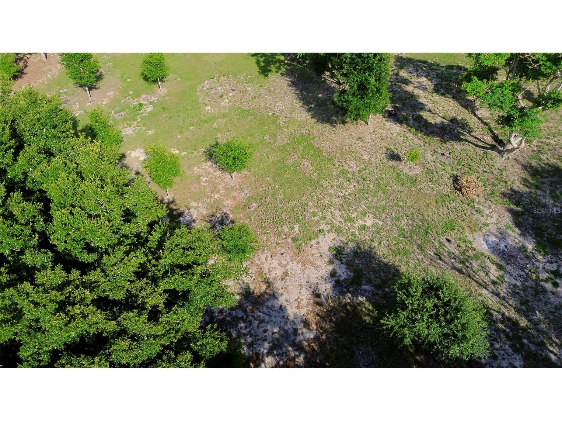 0 Tomato Hill Road Leesburg FL 34748 O6398593 image1