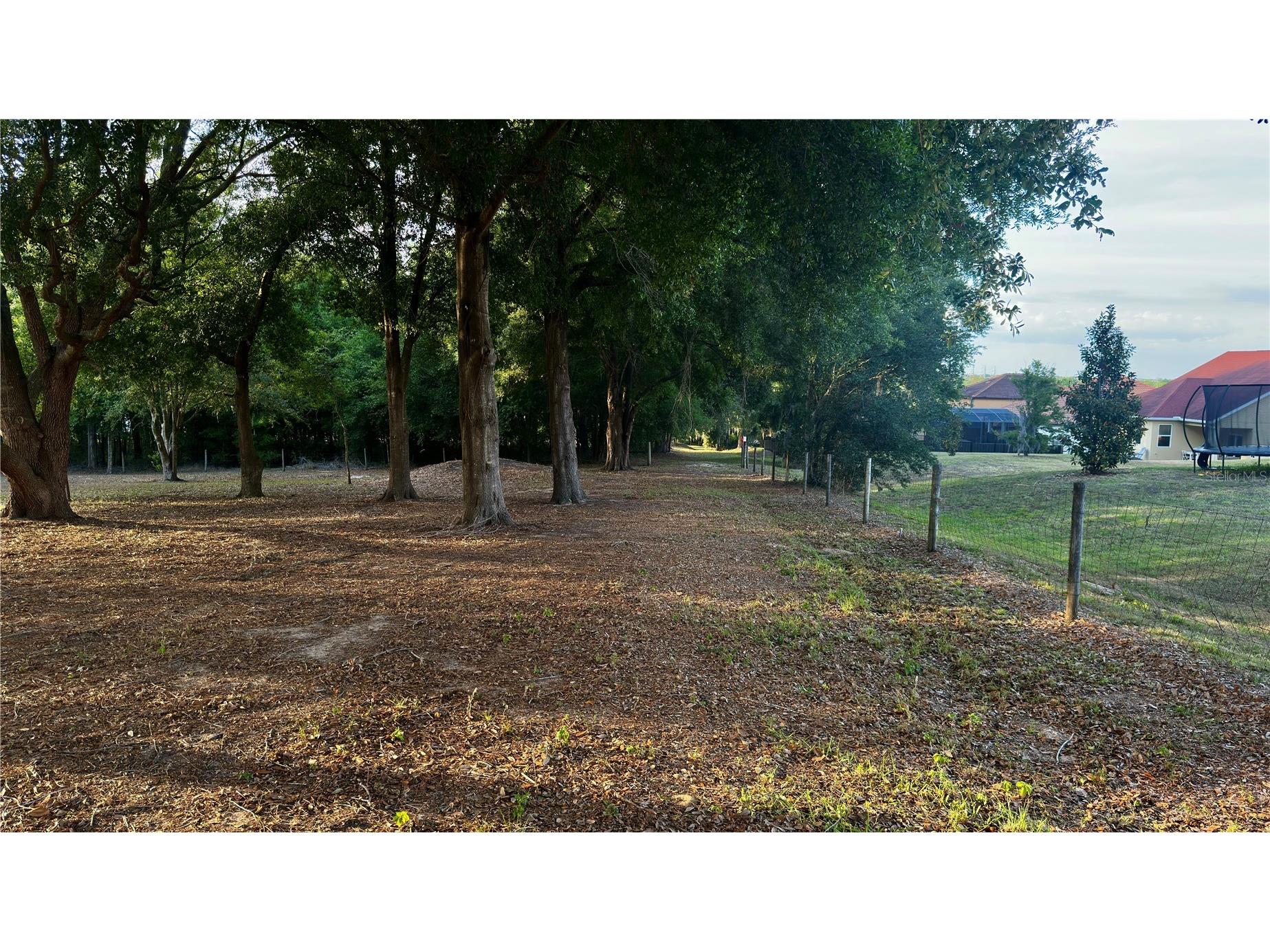 0 Tomato Hill Road Leesburg FL 34748 O6398593 image16