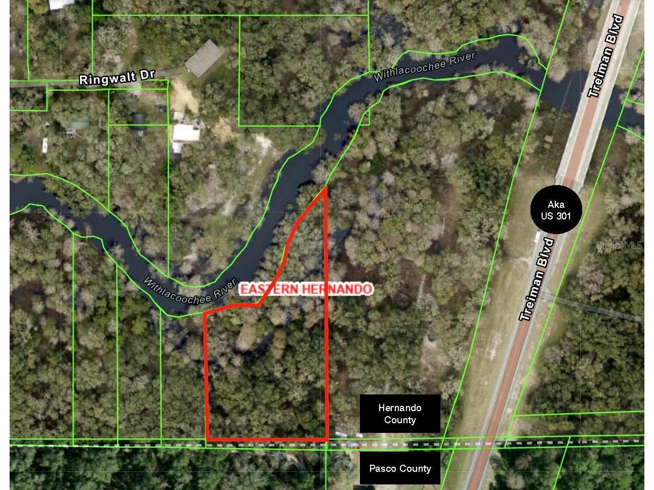 0 Treiman Boulevard Dade City FL 33523 W7881948 image1