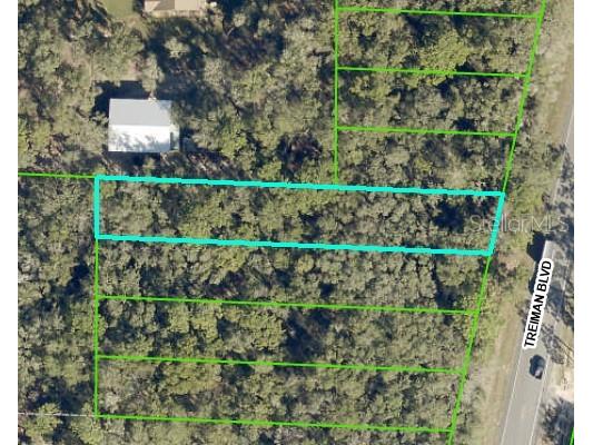 0 Treiman Boulevard Webster FL 33597 W7848328 image1