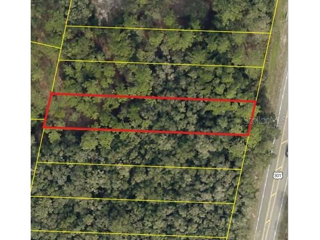 0 Treiman Boulevard Webster FL 33597 W7881094 image1