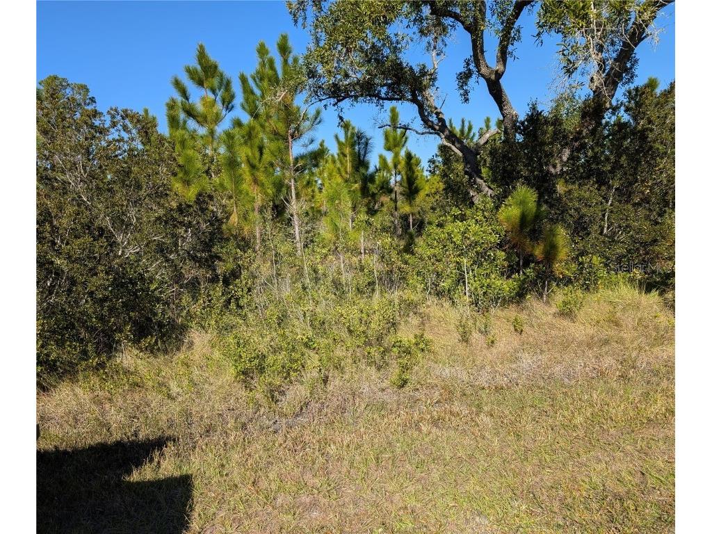 0 Tropicana Drive Indian Lake Estates FL 33855 L4953537 image1