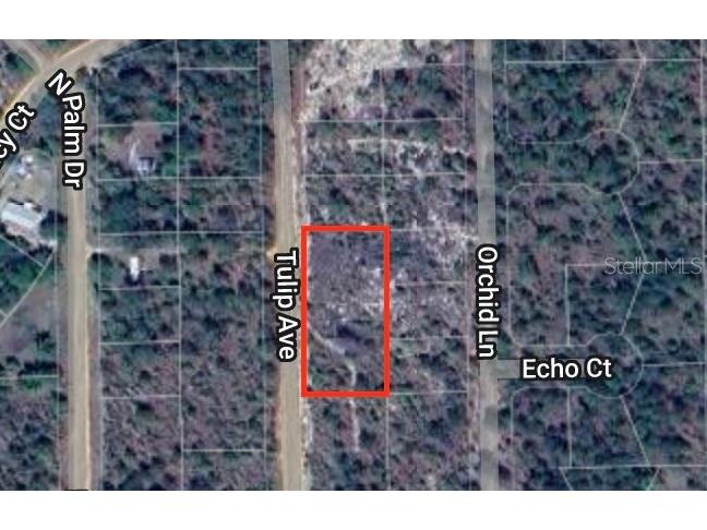 0 Tulip Avenue Interlachen FL 32148 GC521336 image1